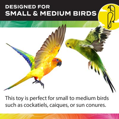 Show full view: Caitec Featherland Paradise Stainless Steel Bell Bird Toy, Small slide 4 of 10