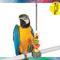 Show in main carousel: Caitec Featherland Paradise Stainless Steel Kabob Bird Toy slide 2 of 9
