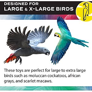 Caitec Featherland Paradise Tinker Round Bird Toy