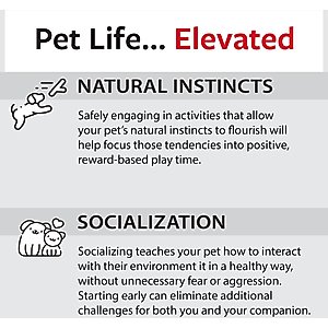 Caitec Featherland Paradise Tinker Round Bird Toy