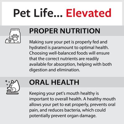 Show full view: Caitec Featherland Paradise Triangle Cotton Swing Bird Toy, Large slide 9 of 10