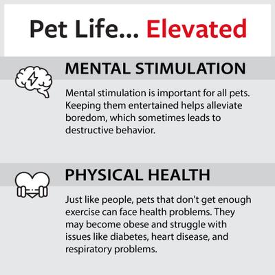 Show full view: Caitec Featherland Paradise Triangle Cotton Swing Bird Toy, Medium slide 7 of 10