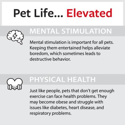 Show full view: Caitec Featherland Paradise Triangle Cotton Swing Bird Toy, Small slide 7 of 10