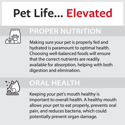 Show full view: Caitec Featherland Paradise Triangle Cotton Swing Bird Toy, Small slide 9 of 10