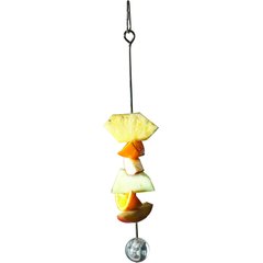 Caitec Featherland Paradise Working Lunch Skewer Bird Toy Extender, 12-in