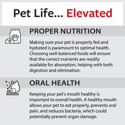 Show full view: Caitec Featherland Paradise Zig Zag Chew Bird Toy, Large slide 9 of 10