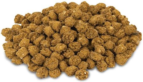 Show full view: Caitec Oven Fresh Bites Large Parrot Food, 15-lb box slide 5 of 5