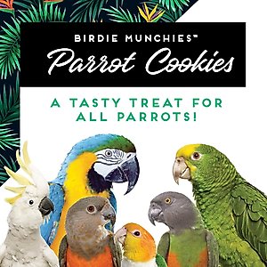 Caitec Oven Fresh Bites Peanut Butter Cookies Parrot Treats, 4-oz bag