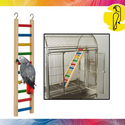 Show full view: Caitec Parrot Ladder, 24-in slide 2 of 10