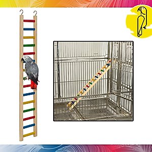 Caitec Parrot Ladder, 36-in