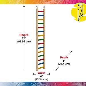 Caitec Parrot Ladder, 36-in
