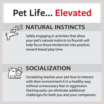 Show full view: Caitec Parrot Ladder, 36-in slide 8 of 10