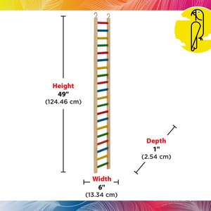 Caitec Parrot Ladder, 48-in