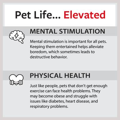Show full view: Caitec Parrot Ladder, 48-in slide 7 of 10