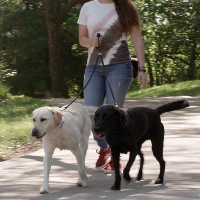 Show full view: Caldwell's Pet Supply Co. Original Dual Leash, Black slide 7 of 11