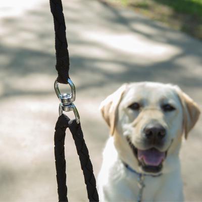 Show full view: Caldwell's Pet Supply Co. Original Dual Leash, Black slide 8 of 11