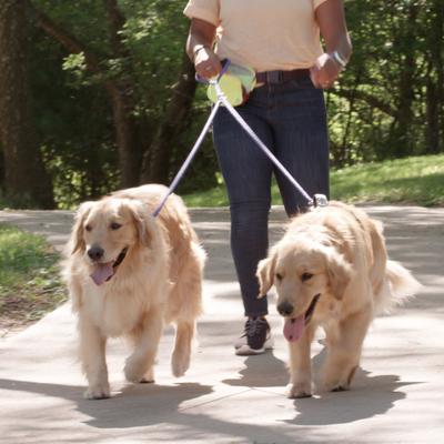 Show full view: Caldwell's Pet Supply Co. Original Dual Leash, Blue slide 9 of 11