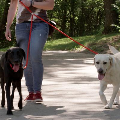 Show full view: Caldwell's Pet Supply Co. Original Dual Leash, Red slide 8 of 11