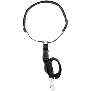 Caldwell's Pet Supply Co. Original Running Leash