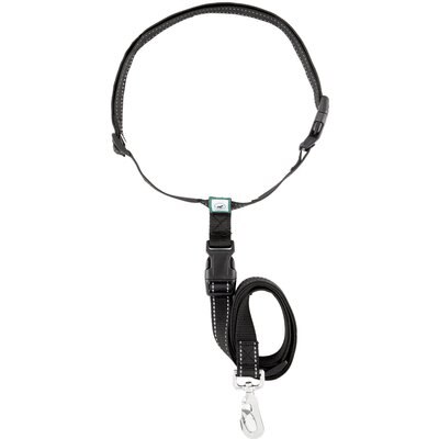 Caldwell's Pet Supply Co. Caldwell's Pet Supply Co. Original Running Leash