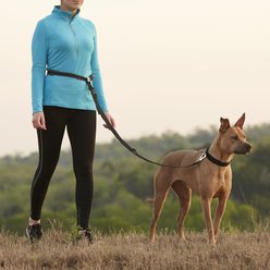 Caldwell's Pet Supply Co. Original Running Leash slide 2 of 8