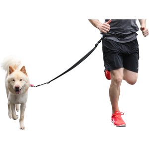 Caldwell's Pet Supply Co. Original Running Leash