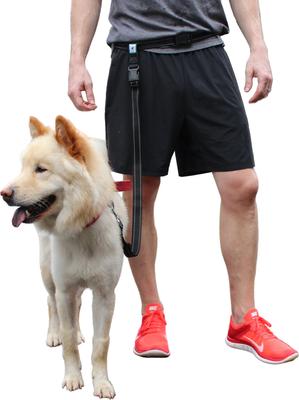 Show full view: Caldwell's Pet Supply Co. Original Running Leash slide 7 of 10