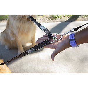 Caldwell's Pet Supply Co. Original Two Dog Leash Coupler