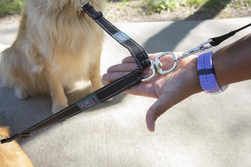 Show full view: Caldwell's Pet Supply Co. Original Two Dog Leash Coupler slide 3 of 7