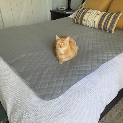 Show full view: Caldwell's Pet Supply Co. Potty Pads Washable Dog Training & Pee Pads, Grey, 60 x 60-in, 1 count slide 8 of 10