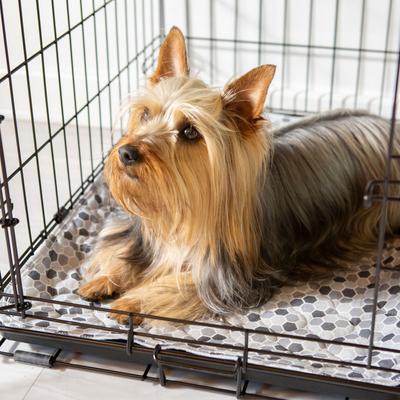 Show full view: Caldwell's Pet Supply Co. Potty Pads Washable Dog Training & Pee Pads, Variety Pack, 18 x 24-in, 4 count slide 9 of 11