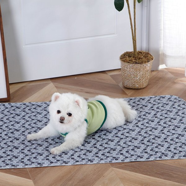 Show full view: Caldwell's Pet Supply Co. Potty Pads Washable Dog Training & Pee Pads, Variety Pack, 24 x 36-in, 2 count slide 8 of 11
