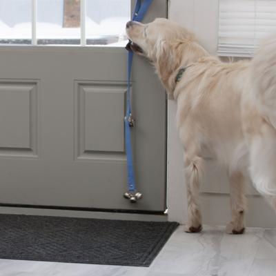 Show full view: Caldwell's Pet Supply Co. Potty Bells Original Dog Doorbell, Blue slide 6 of 10