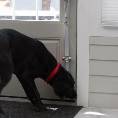 Show full view: Caldwell's Pet Supply Co. Potty Bells Original Dog Doorbell, Grey slide 6 of 10