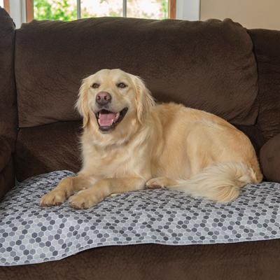 Show full view: Caldwell's Pet Supply Co. Potty Pads Washable Dog Training & Pee Pads, Hexagon, 30 x 36-in, 2 count slide 8 of 11