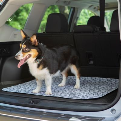 Show full view: Caldwell's Pet Supply Co. Potty Pads Washable Dog Training & Pee Pads, Variety Pack, 34 x 36-in, 2 count slide 8 of 12