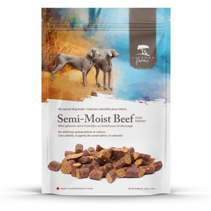 Caledon Farms Mini Trainers Semi-Moist Beef Dog Treats, 7.8-oz bag