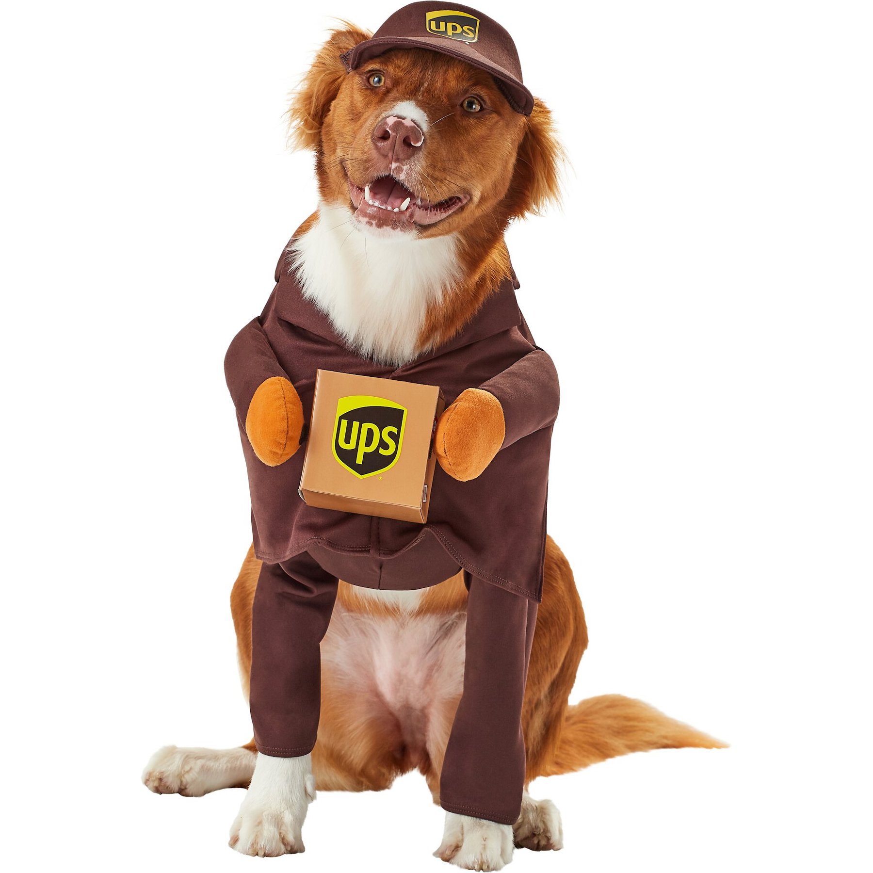 UPS Delivery Driver Dog Costume California Costumes , Medium