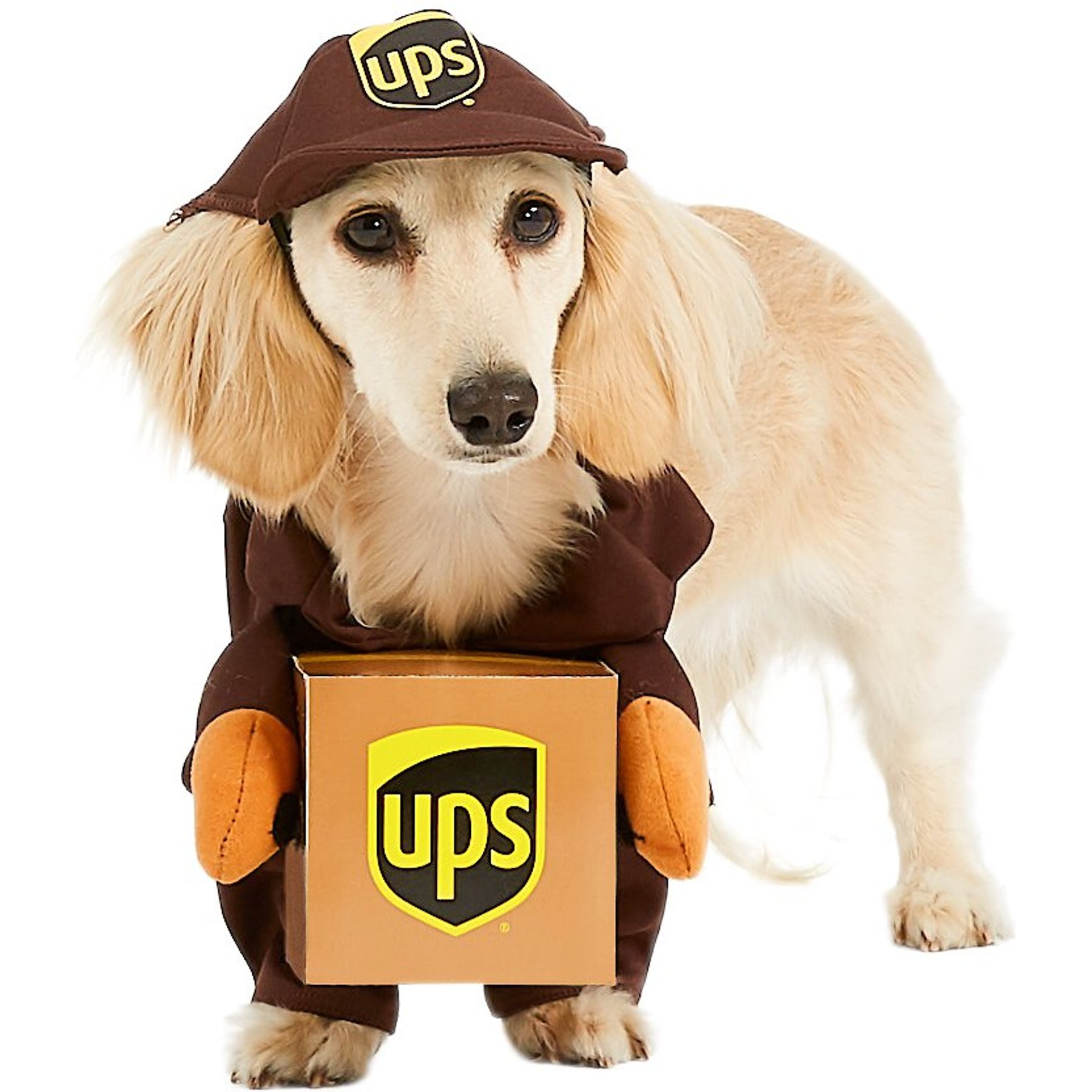 California Costumes UPS Delivery Driver Dog & Cat Costume, X-Small