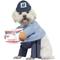 Show in main carousel: California Costumes USPS Delivery Driver Dog & Cat Costume, Medium slide 1 of 3