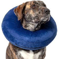 CP Basics Inflatable Dog Collar, Large