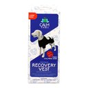 Calm Paws Calming Recovery Dog Vest, Large