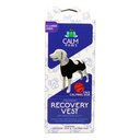 Calm Paws Calming Recovery Dog Vest, X-Large