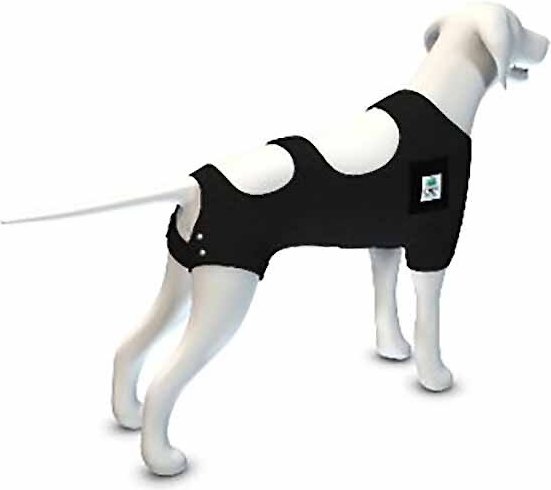 CP Basics Calming Recovery Dog Vest