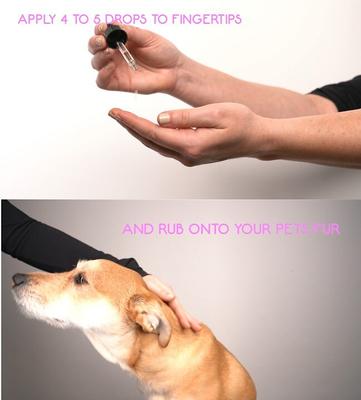 Show full view: Calm Paws Flex Calming Essential Oil for Dogs, 1-fl oz bottle slide 8 of 8