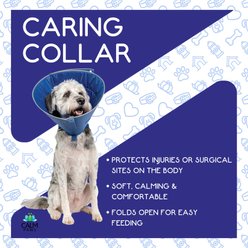Calm Paws Recovery Caring Dog Collar, Medium slide 2 of 5