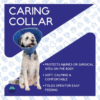 Show full view: Calm Paws Recovery Caring Dog Collar, Medium slide 6 of 9
