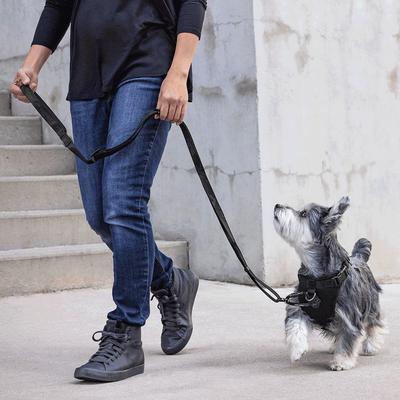 Show full view: Canada Pooch Adjustable Length Utility Dog Leash, Black Camo, Large/X-Large: 4 to 6-ft long, 1-in wide slide 2 of 6