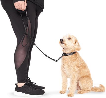 Show full view: Canada Pooch Adjustable Length Utility Dog Leash, Black Camo, Large/X-Large: 4 to 6-ft long, 1-in wide slide 5 of 6