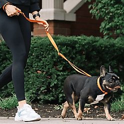 Canada Pooch Adjustable Length Utility Dog Leash, Orange Camo, Small/Medium: 4 to 6-ft long, 0.8-in wide slide 2 of 6